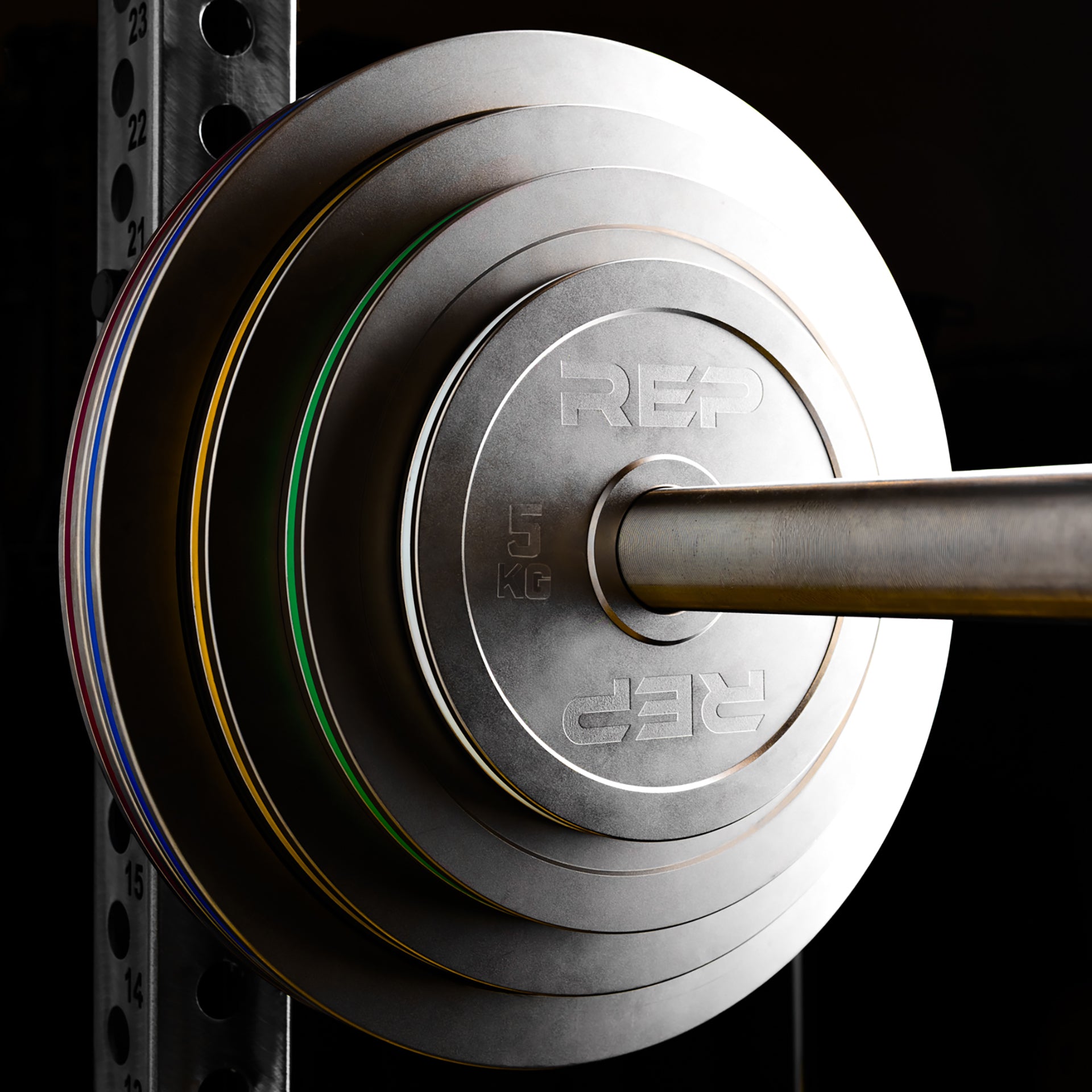 REPCalibrated Steel Plates (KG)
