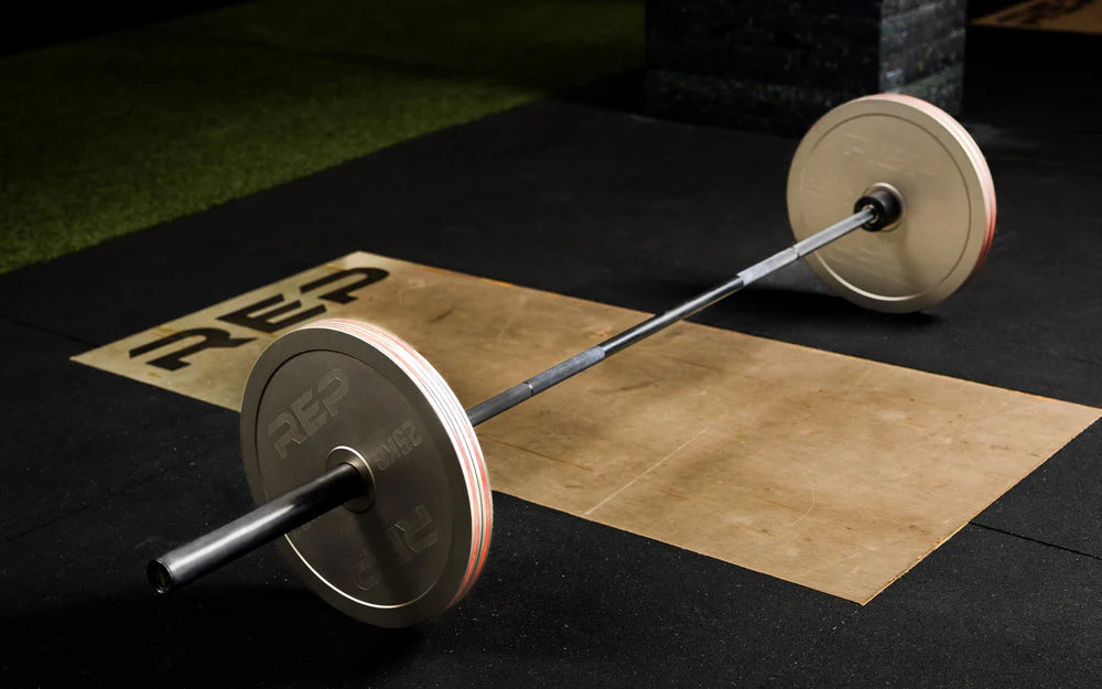 REPCalibrated Steel Plates (KG)